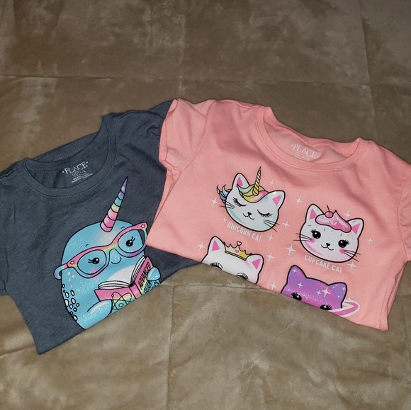 The Children's Place Other - Bundle of 2 GUC children's place tee shirts